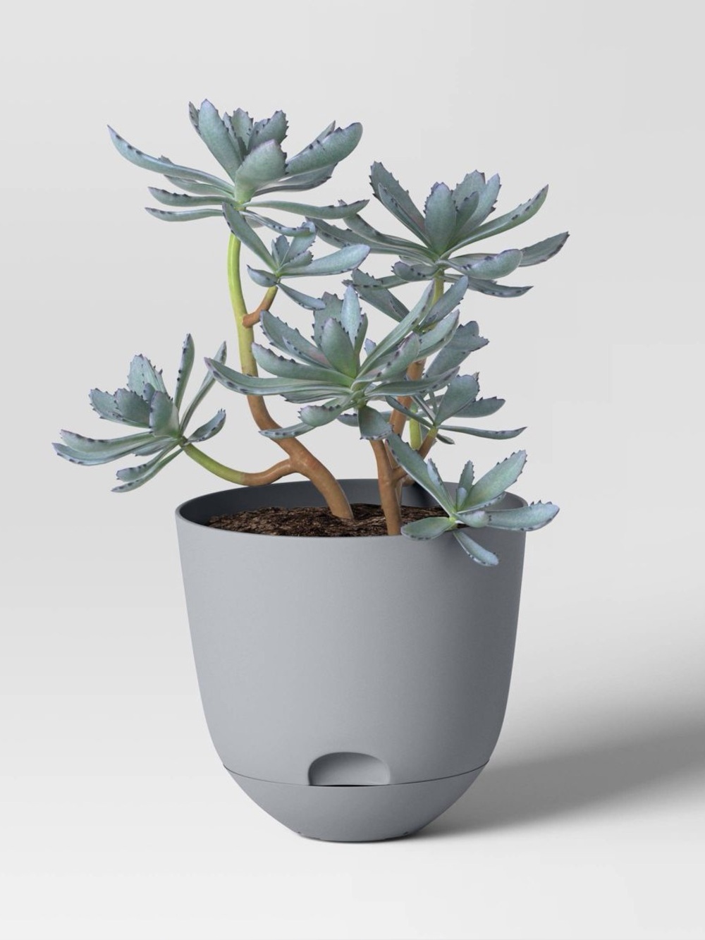 Room Essentials Plastic Self-Watering Plant Pot Set of 4: 2White 5” & 2Black 7”